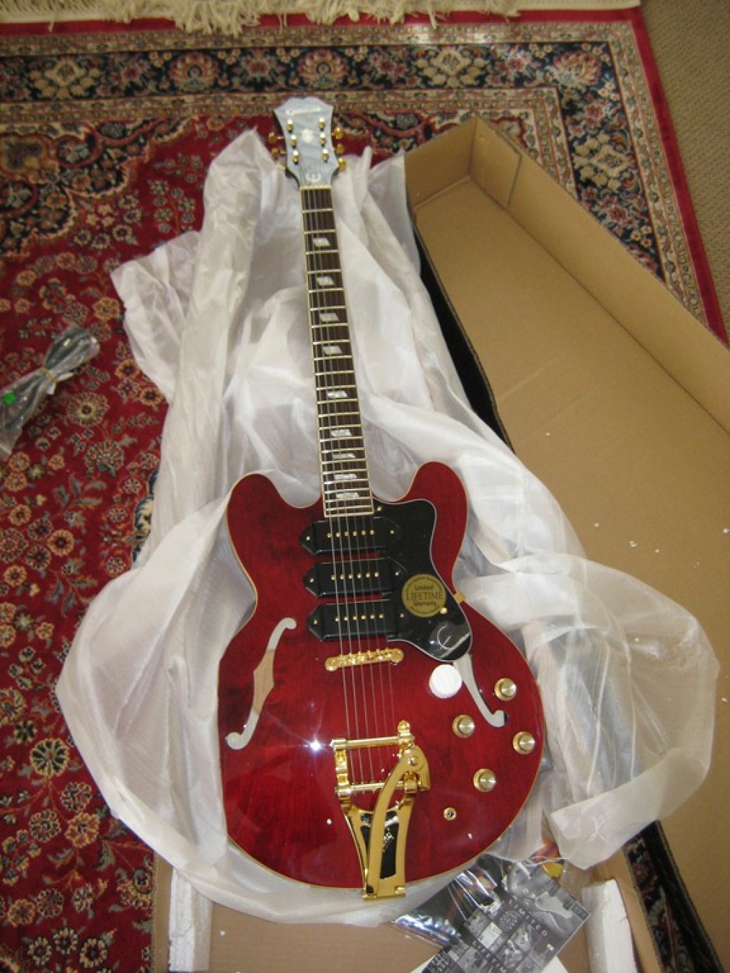 20090720EpiphoneRivieraCustomP930051-1024x1365.jpg